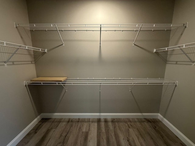 spacious closet with dark wood-type flooring