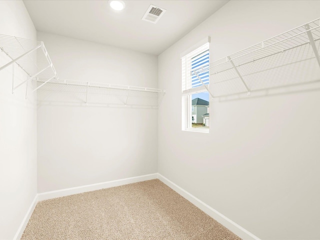 spacious closet featuring carpet flooring