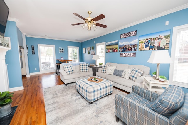 living room with ceiling fan, wood-type flooring, and ornamental molding