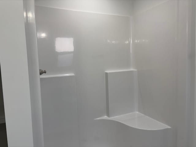 bathroom with a shower