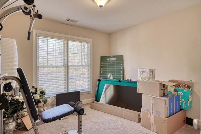 interior space with carpet flooring and a healthy amount of sunlight