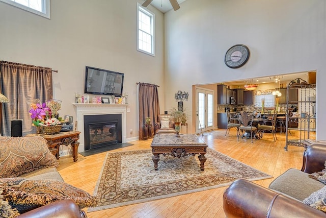 living room featuring a healthy amount of sunlight, light hardwood / wood-style floors, and a high ceiling