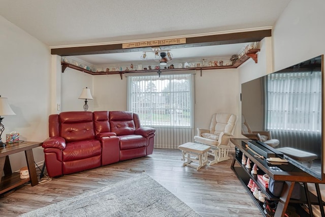 living room featuring hardwood / wood-style floors, ornamental molding, and a textured ceiling