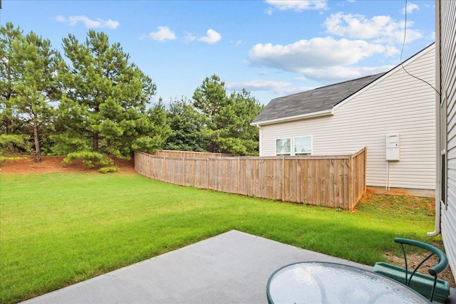 view of yard featuring a patio area