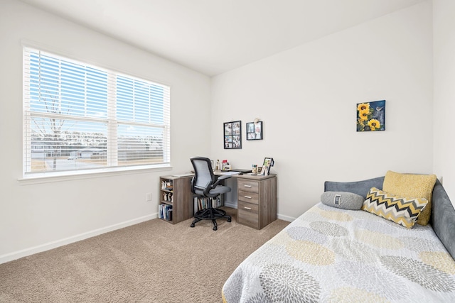 carpeted bedroom with multiple windows