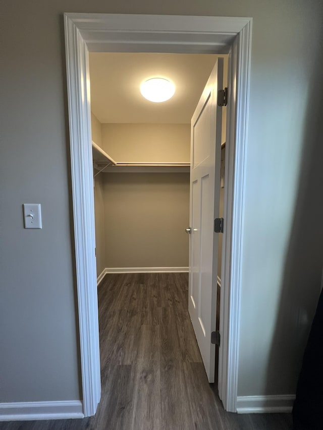 walk in closet featuring dark hardwood / wood-style floors