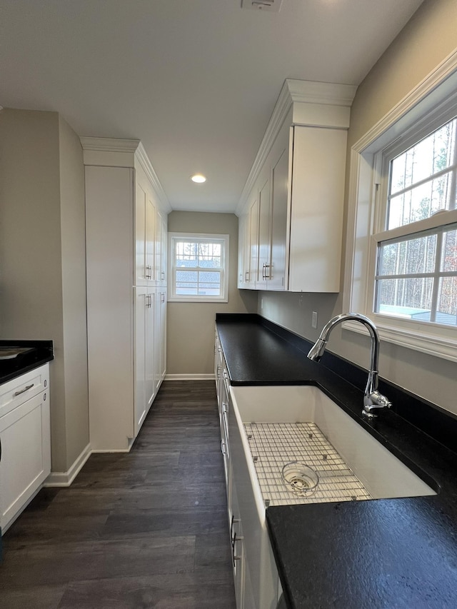 kitchen featuring white cabinetry, dark hardwood / wood-style flooring, and plenty of natural light