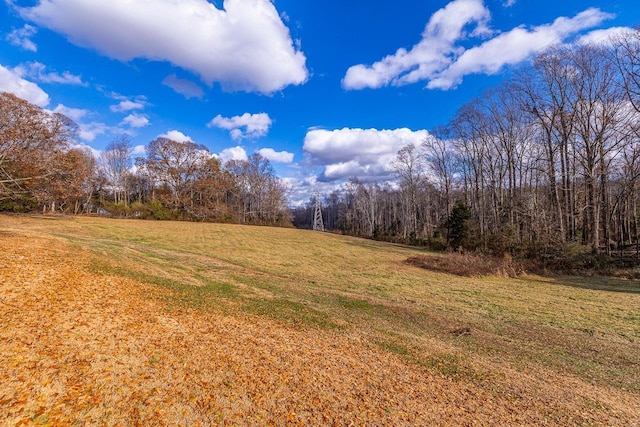847 Harvey, Greer, SC 29651