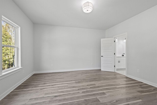 empty room with a healthy amount of sunlight, light hardwood / wood-style floors, and sink