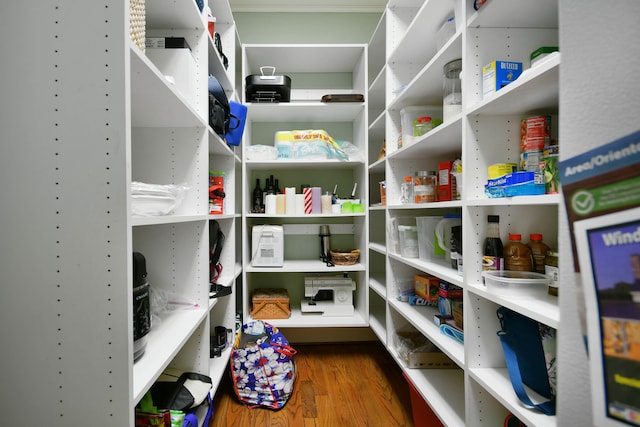 view of pantry