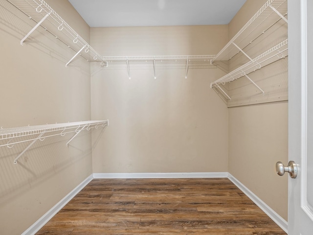 spacious closet featuring hardwood / wood-style flooring