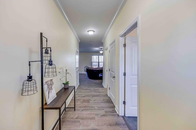 corridor featuring light wood-type flooring and crown molding