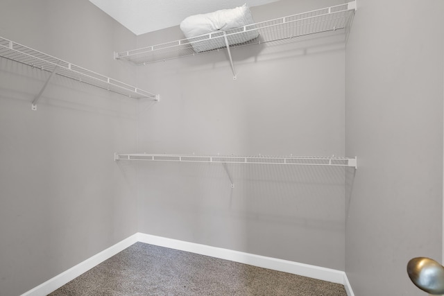 spacious closet with carpet