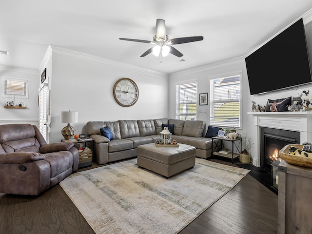 living room with ceiling fan, dark hardwood / wood-style flooring, and ornamental molding