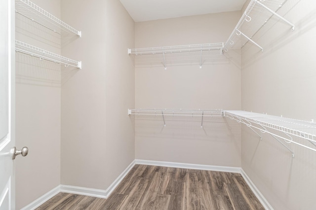 walk in closet with dark wood-type flooring