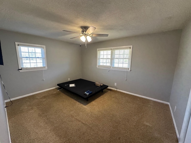 exercise area featuring a textured ceiling, carpet floors, and plenty of natural light