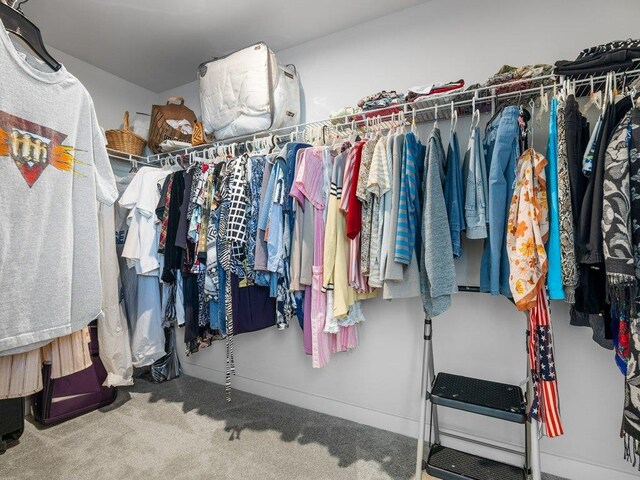 spacious closet with carpet