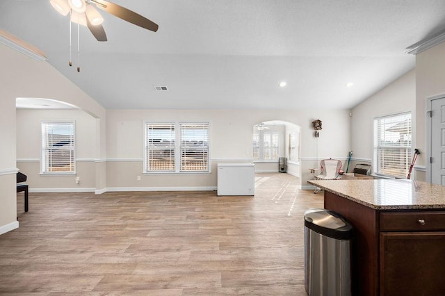 kitchen featuring ceiling fan, light hardwood / wood-style floors, dark brown cabinets, and vaulted ceiling