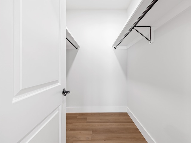 walk in closet featuring wood-type flooring