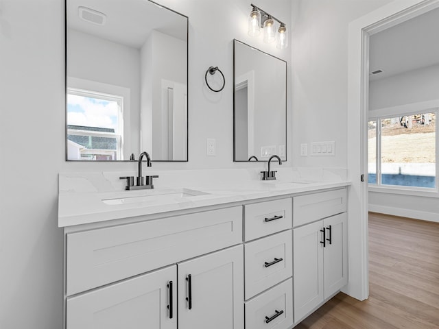 bathroom featuring wood-type flooring, vanity, and plenty of natural light