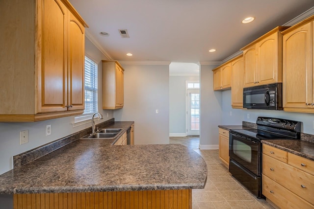 kitchen featuring sink, black appliances, light brown cabinets, and ornamental molding