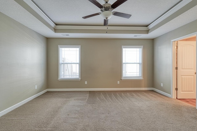 spare room with plenty of natural light, a raised ceiling, and light colored carpet