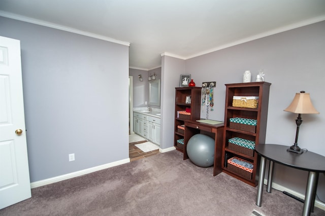 carpeted office featuring ornamental molding