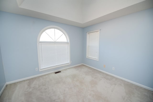 spare room with light carpet and a raised ceiling