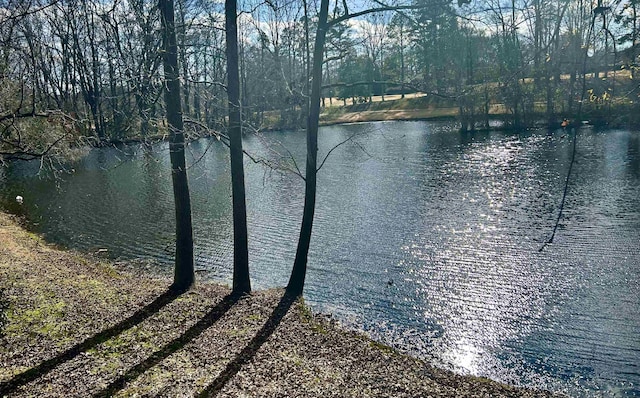 view of water feature