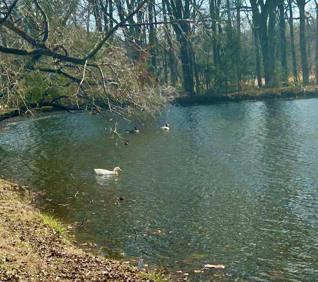 water view