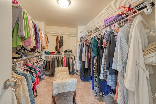 spacious closet featuring carpet