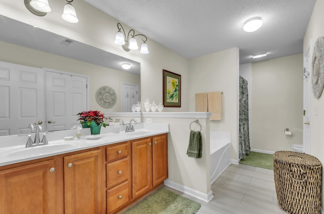 bathroom featuring vanity, a textured ceiling, and a washtub