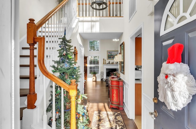 foyer with a towering ceiling and dark wood-type flooring