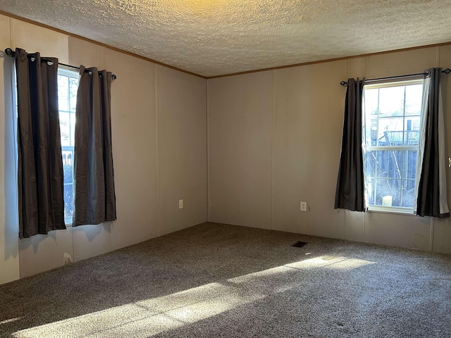 spare room with carpet flooring, a healthy amount of sunlight, crown molding, and a textured ceiling