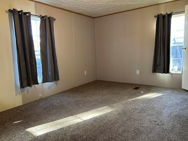 spare room with carpet flooring, plenty of natural light, and a textured ceiling