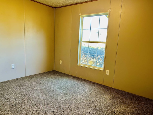 empty room with carpet floors