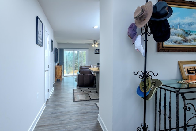 corridor featuring hardwood / wood-style floors