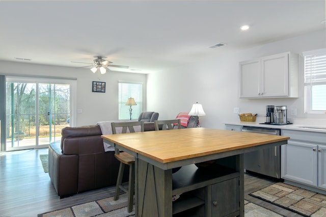 kitchen featuring dishwasher, a wealth of natural light, white cabinets, and ceiling fan