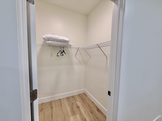 walk in closet with hardwood / wood-style flooring