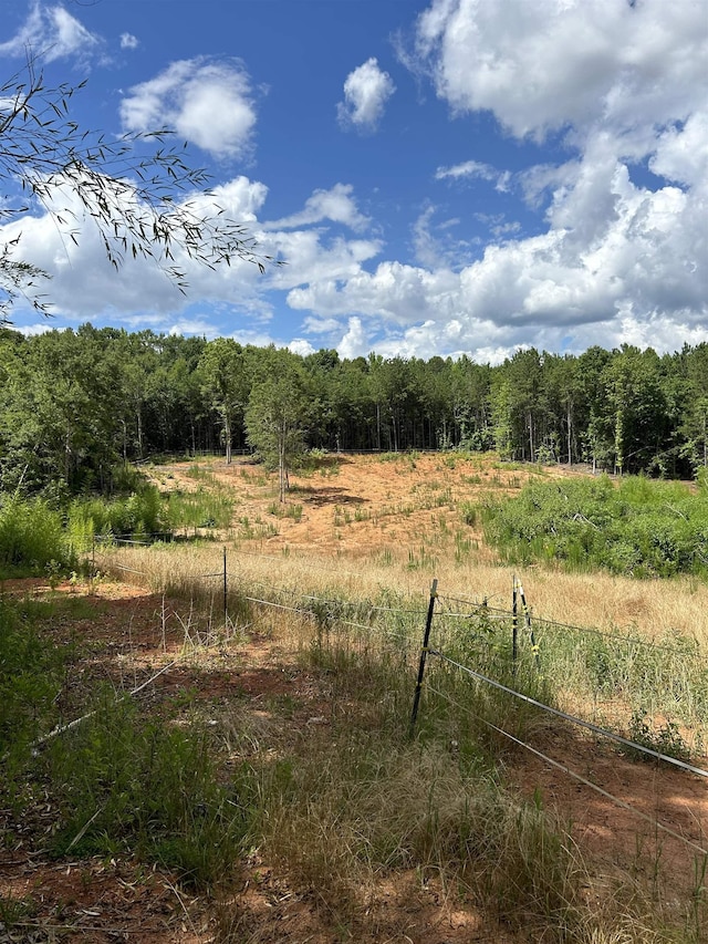 view of nature featuring a rural view