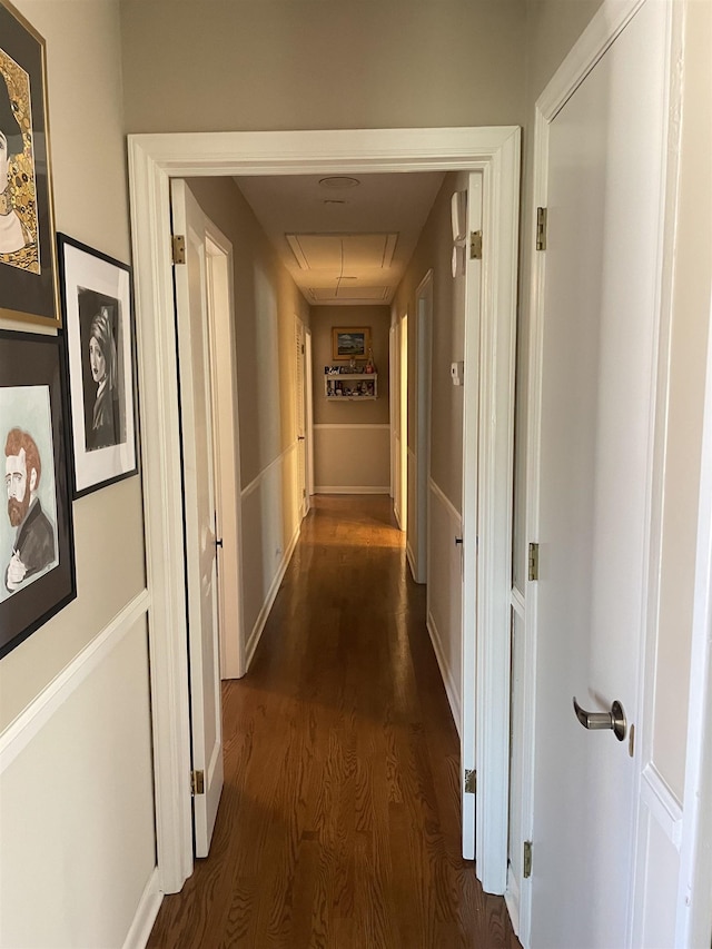 hallway with dark wood-type flooring