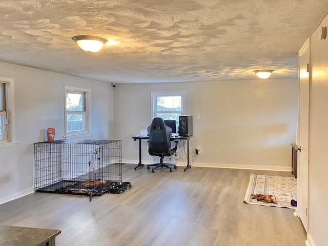 office with wood-type flooring