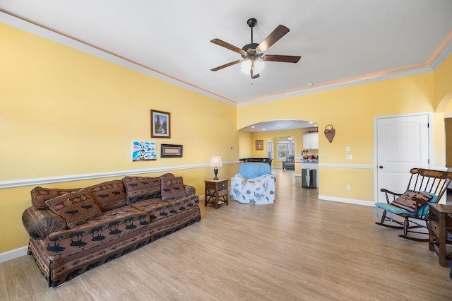 living room with ceiling fan, light hardwood / wood-style floors, and crown molding