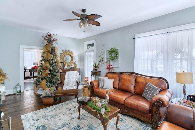 living room featuring ceiling fan and dark hardwood / wood-style floors