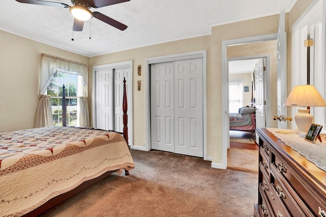 bedroom with carpet, multiple closets, ceiling fan, and ornamental molding