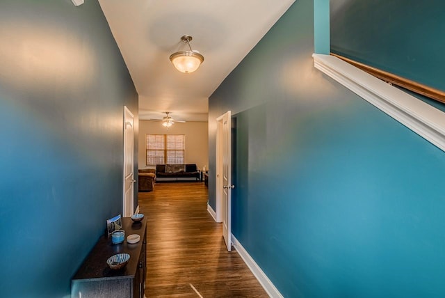 hallway featuring dark hardwood / wood-style floors