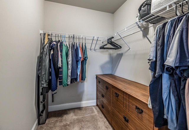 spacious closet featuring carpet