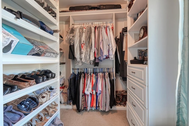 spacious closet with light carpet