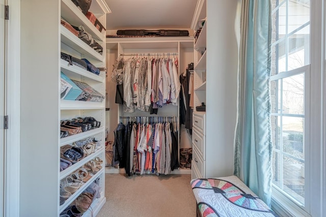 view of walk in closet