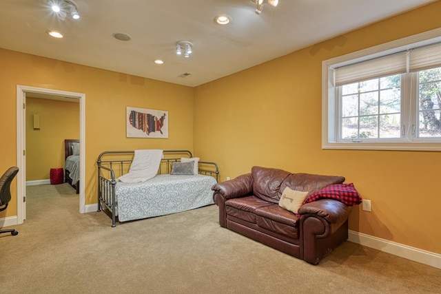 bedroom with carpet